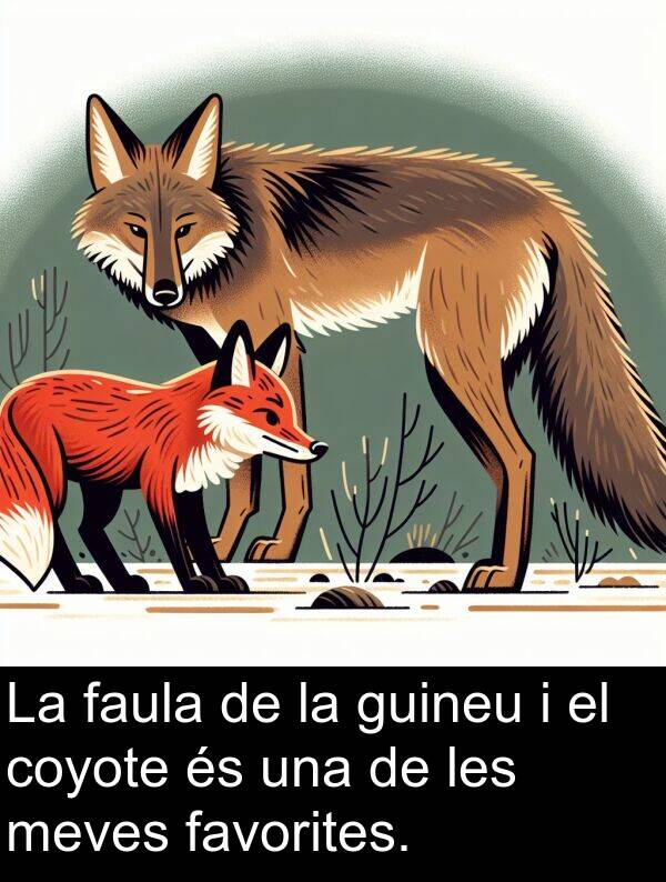 faula: La faula de la guineu i el coyote és una de les meves favorites.