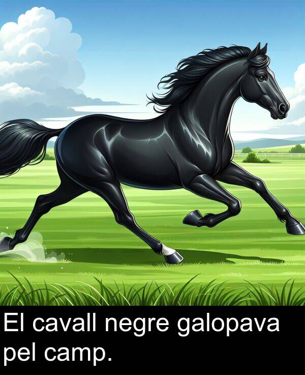 pel: El cavall negre galopava pel camp.