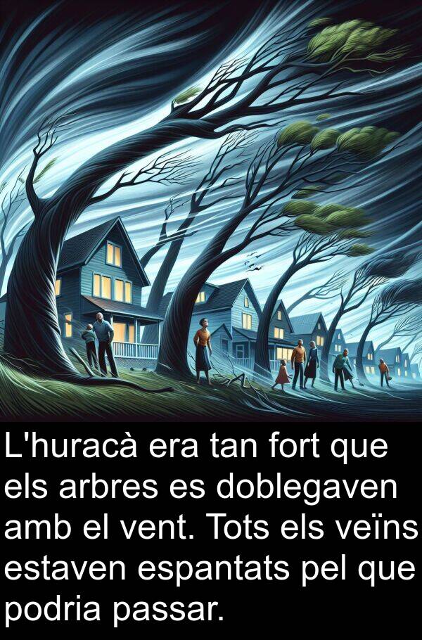 passar: L'huracà era tan fort que els arbres es doblegaven amb el vent. Tots els veïns estaven espantats pel que podria passar.