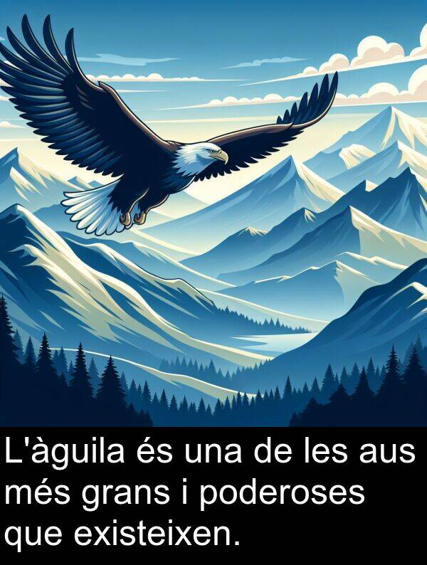 poderoses: L'àguila és una de les aus més grans i poderoses que existeixen.