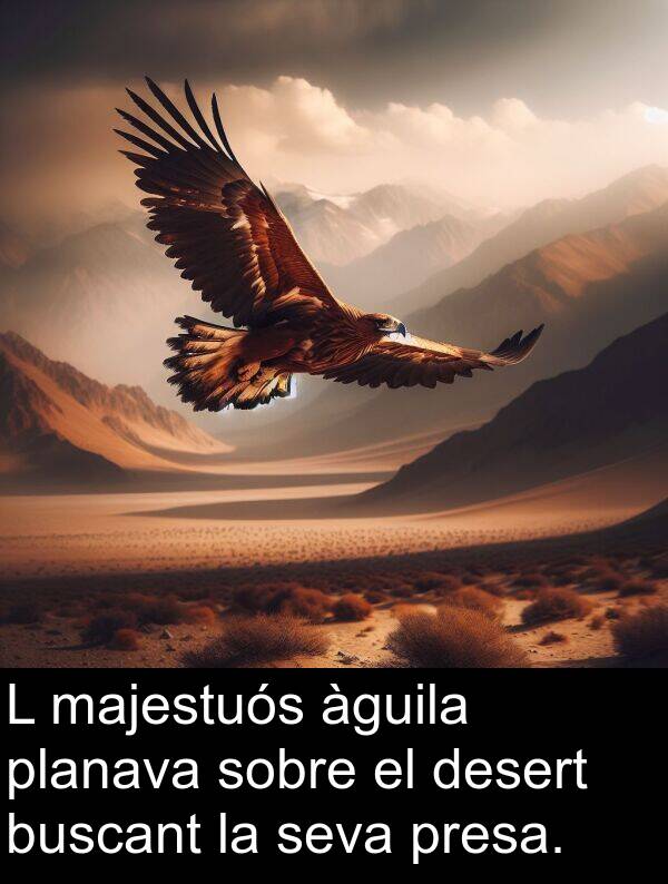 àguila: L majestuós àguila planava sobre el desert buscant la seva presa.