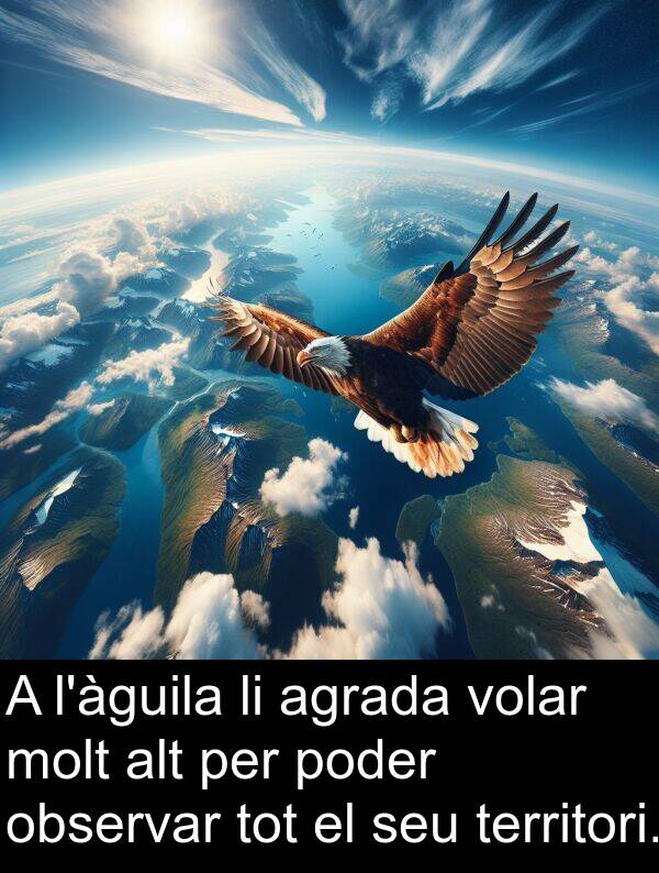 agrada: A l'àguila li agrada volar molt alt per poder observar tot el seu territori.