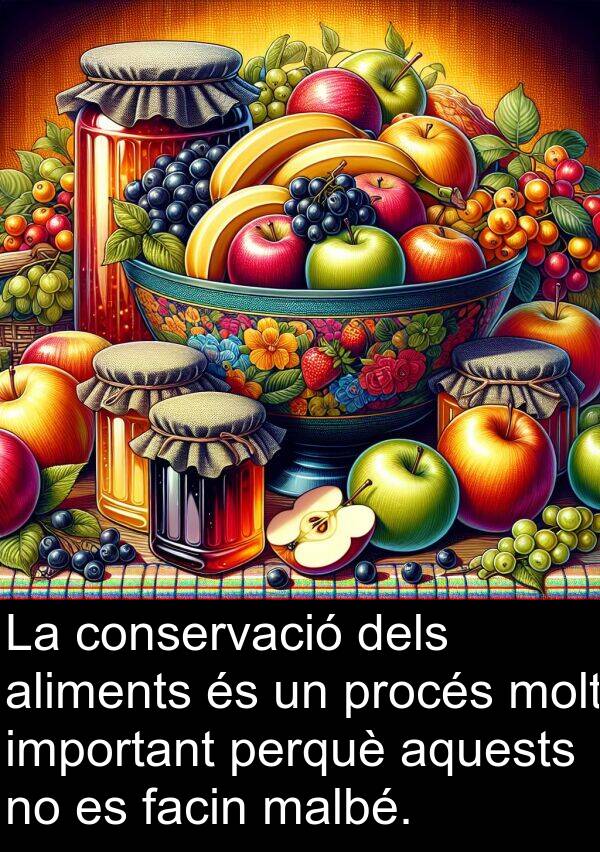 malbé: La conservació dels aliments és un procés molt important perquè aquests no es facin malbé.