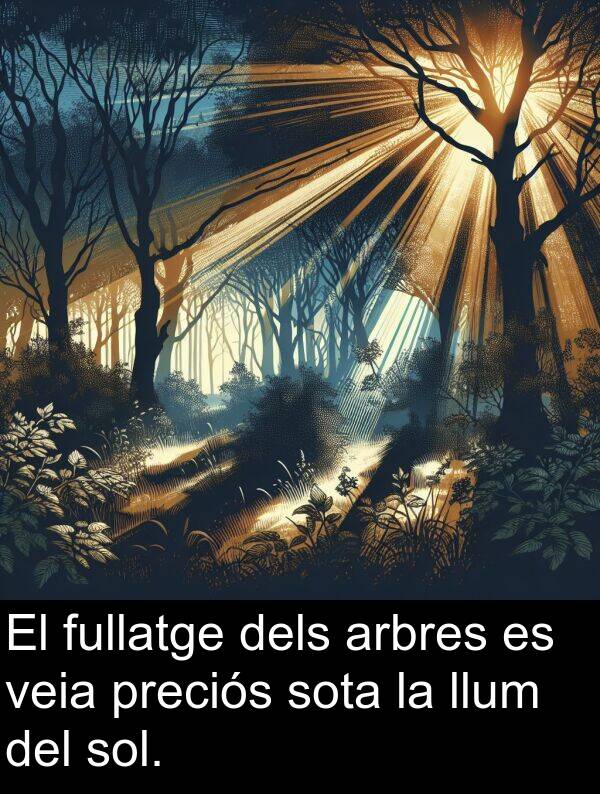 llum: El fullatge dels arbres es veia preciós sota la llum del sol.