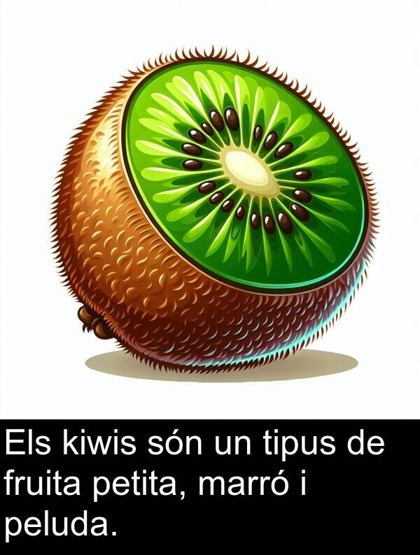 peluda: Els kiwis són un tipus de fruita petita, marró i peluda.