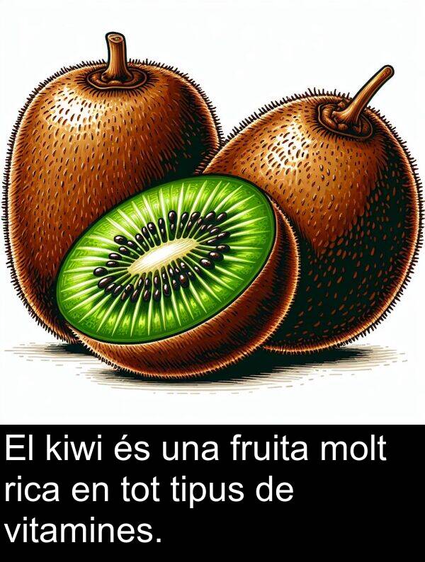 kiwi: El kiwi és una fruita molt rica en tot tipus de vitamines.