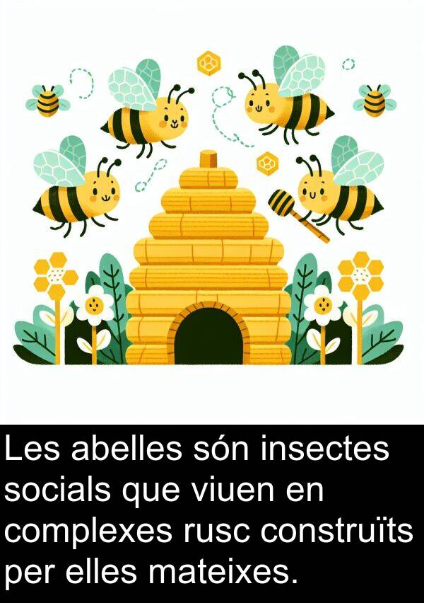 abelles: Les abelles són insectes socials que viuen en complexes rusc construïts per elles mateixes.