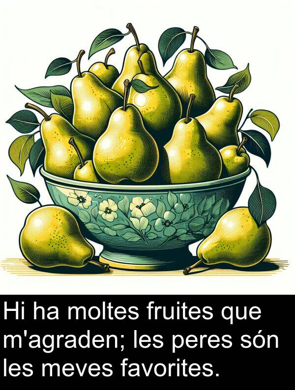 peres: Hi ha moltes fruites que m'agraden; les peres són les meves favorites.