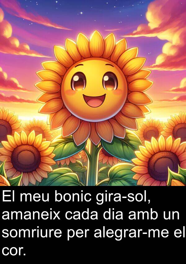 bonic: El meu bonic gira-sol, amaneix cada dia amb un somriure per alegrar-me el cor.