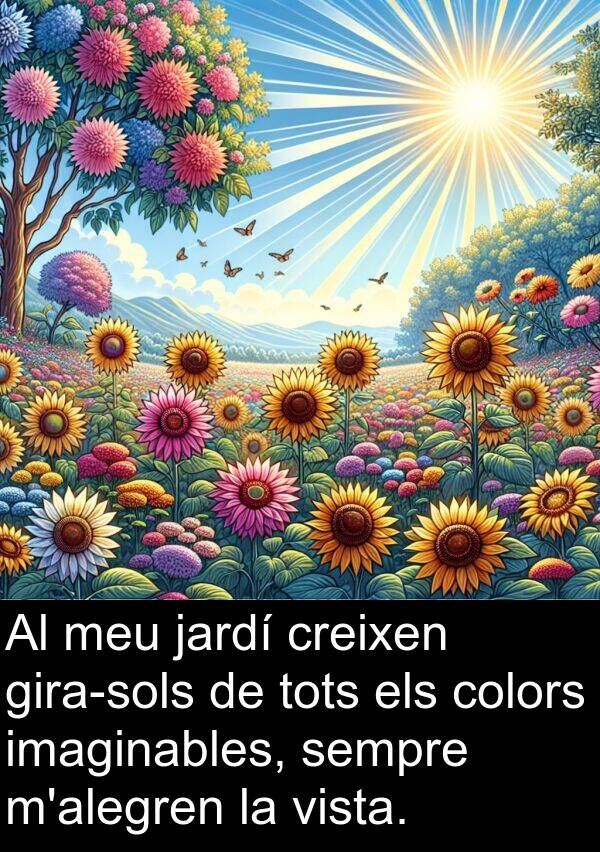 vista: Al meu jardí creixen gira-sols de tots els colors imaginables, sempre m'alegren la vista.