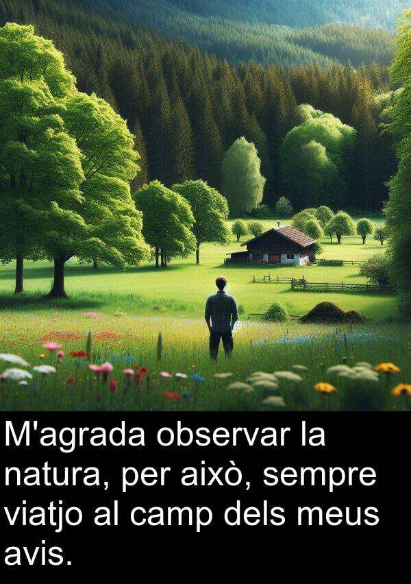 això: M'agrada observar la natura, per això, sempre viatjo al camp dels meus avis.