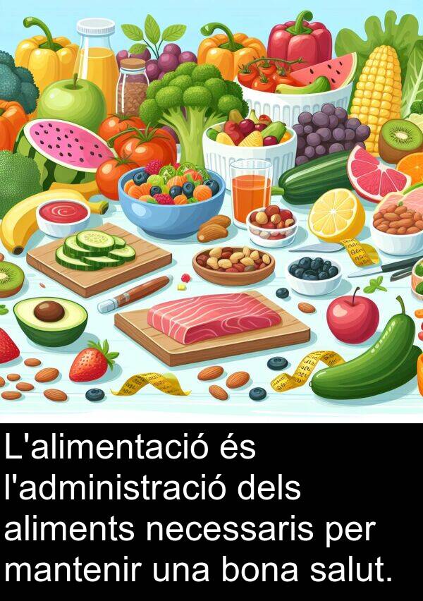 bona: L'alimentació és l'administració dels aliments necessaris per mantenir una bona salut.