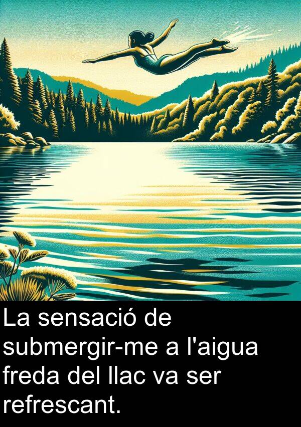 llac: La sensació de submergir-me a l'aigua freda del llac va ser refrescant.