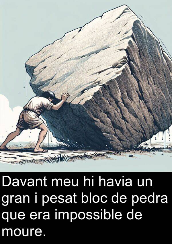 pedra: Davant meu hi havia un gran i pesat bloc de pedra que era impossible de moure.