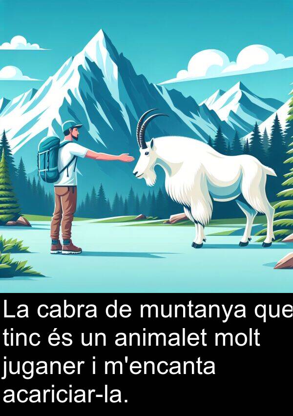 juganer: La cabra de muntanya que tinc és un animalet molt juganer i m'encanta acariciar-la.