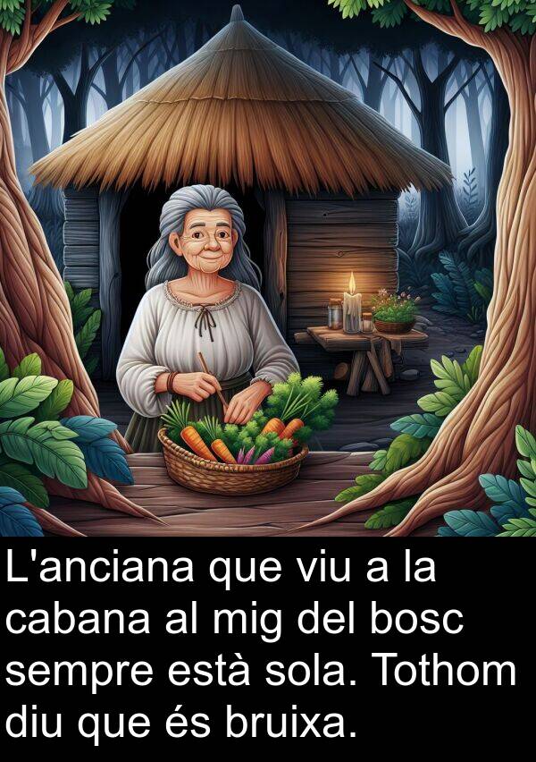 bosc: L'anciana que viu a la cabana al mig del bosc sempre està sola. Tothom diu que és bruixa.