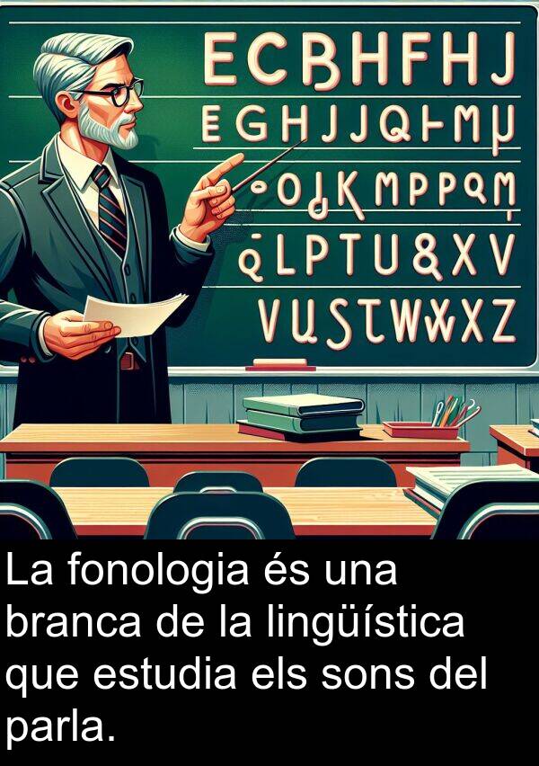 lingüística: La fonologia és una branca de la lingüística que estudia els sons del parla.