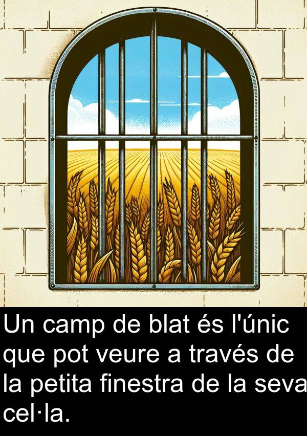 blat: Un camp de blat és l'únic que pot veure a través de la petita finestra de la seva cel·la.