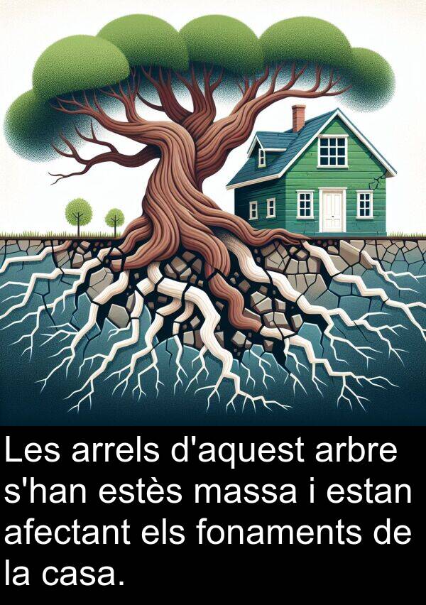 afectant: Les arrels d'aquest arbre s'han estès massa i estan afectant els fonaments de la casa.