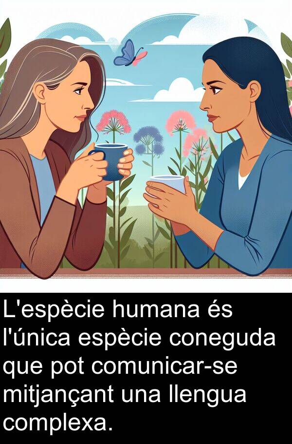 llengua: L'espècie humana és l'única espècie coneguda que pot comunicar-se mitjançant una llengua complexa.