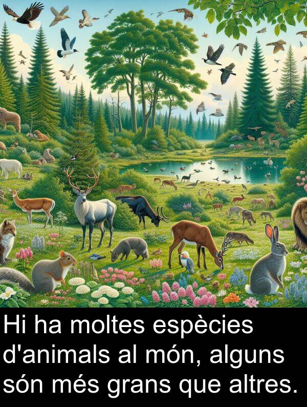 moltes: Hi ha moltes espècies d'animals al món, alguns són més grans que altres.