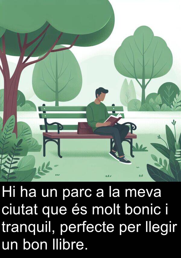 bon: Hi ha un parc a la meva ciutat que és molt bonic i tranquil, perfecte per llegir un bon llibre.