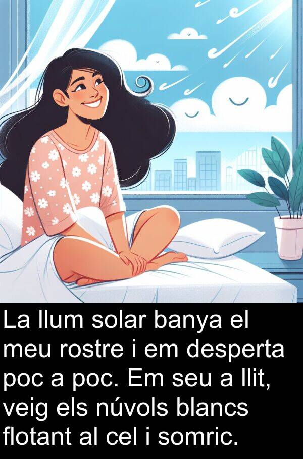 desperta: La llum solar banya el meu rostre i em desperta poc a poc. Em seu a llit, veig els núvols blancs flotant al cel i somric.