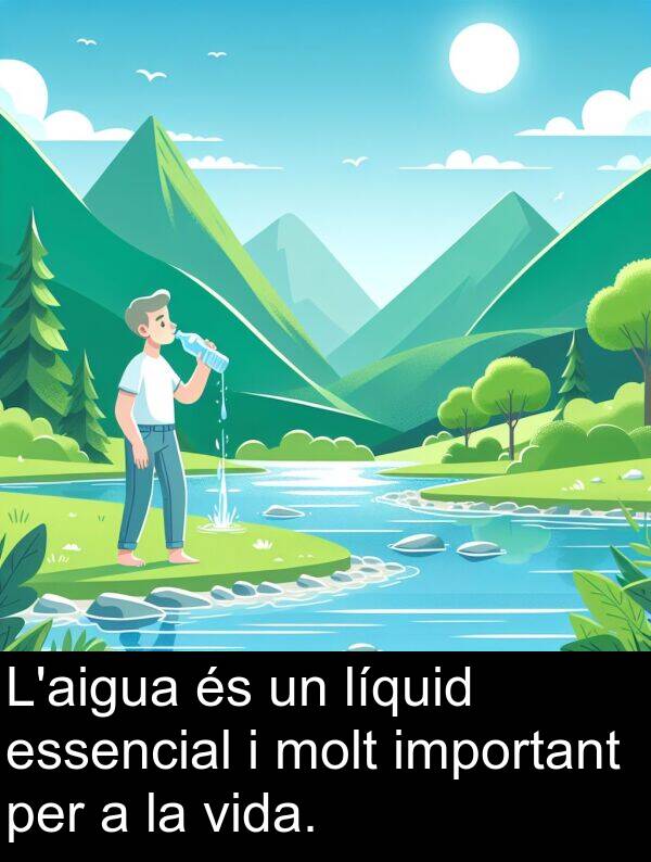 líquid: L'aigua és un líquid essencial i molt important per a la vida.