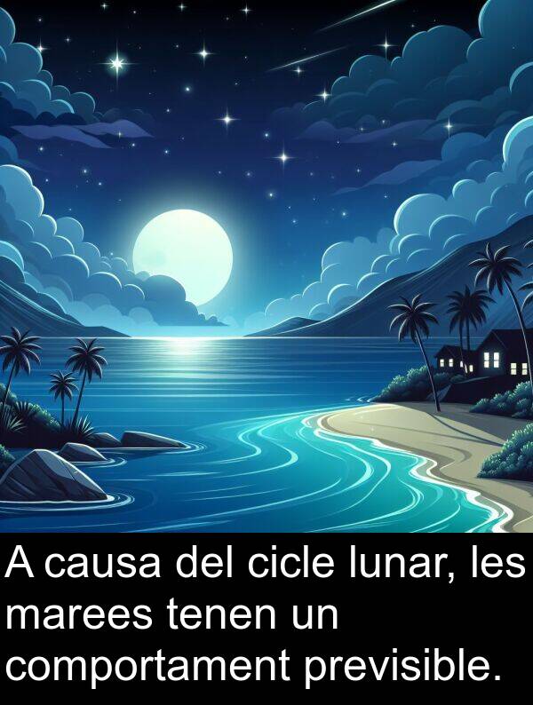 lunar: A causa del cicle lunar, les marees tenen un comportament previsible.