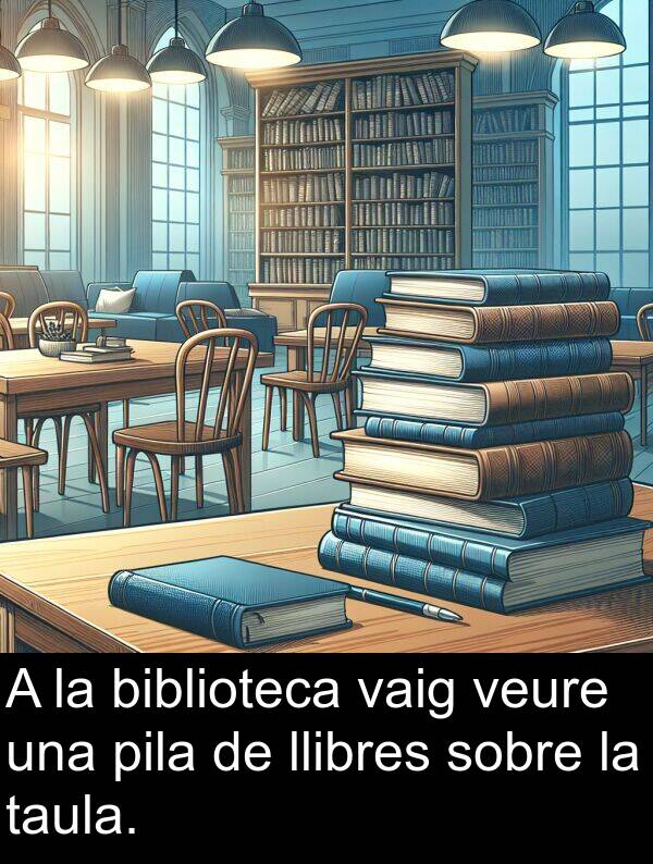 biblioteca: A la biblioteca vaig veure una pila de llibres sobre la taula.