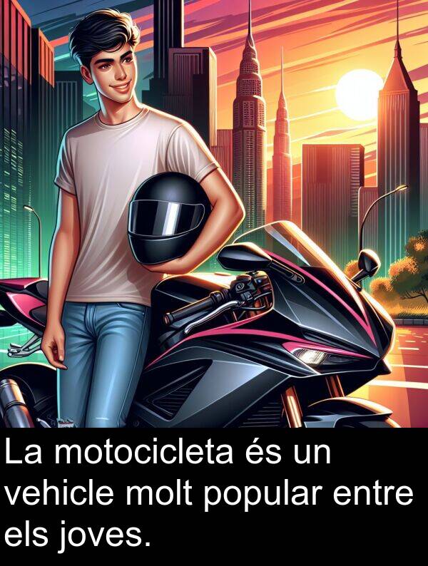 joves: La motocicleta és un vehicle molt popular entre els joves.