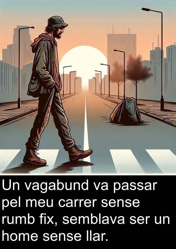 carrer: Un vagabund va passar pel meu carrer sense rumb fix, semblava ser un home sense llar.