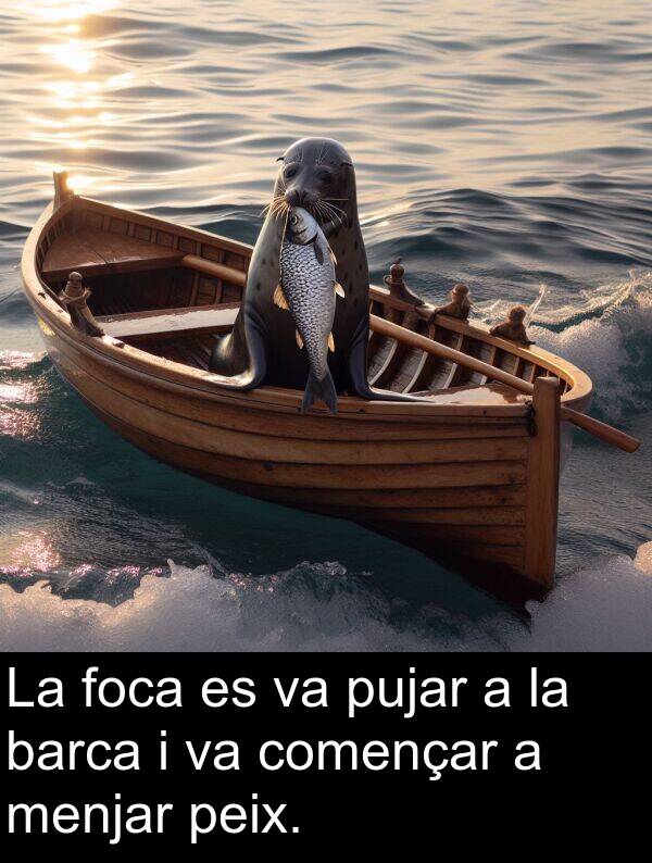 peix: La foca es va pujar a la barca i va començar a menjar peix.