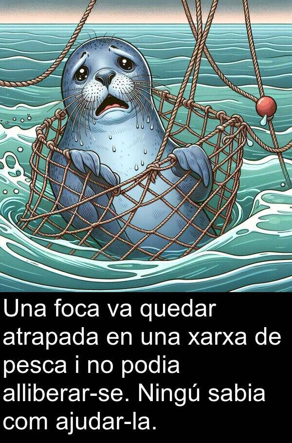 xarxa: Una foca va quedar atrapada en una xarxa de pesca i no podia alliberar-se. Ningú sabia com ajudar-la.