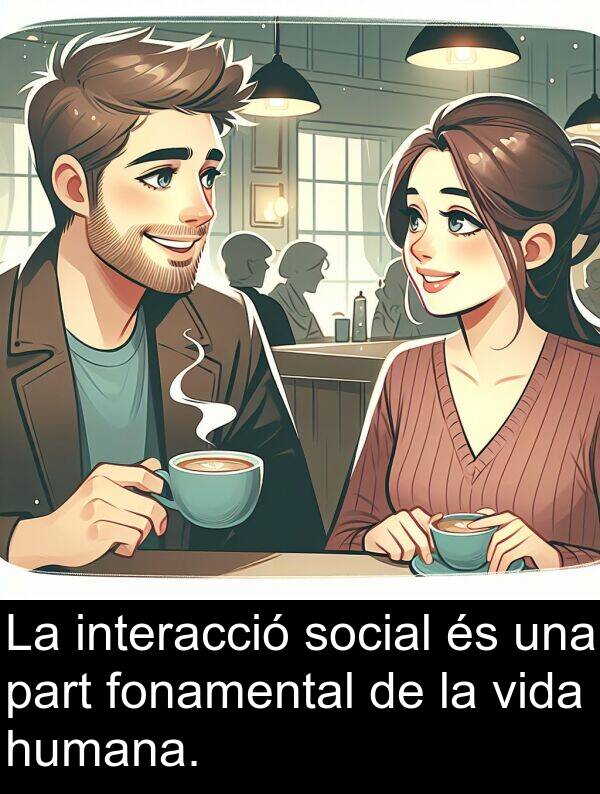 part: La interacció social és una part fonamental de la vida humana.