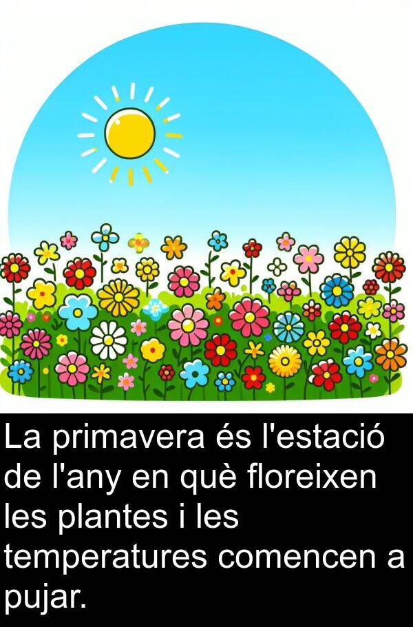 floreixen: La primavera és l'estació de l'any en què floreixen les plantes i les temperatures comencen a pujar.