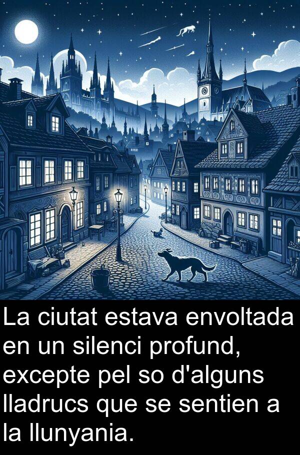 lladrucs: La ciutat estava envoltada en un silenci profund, excepte pel so d'alguns lladrucs que se sentien a la llunyania.