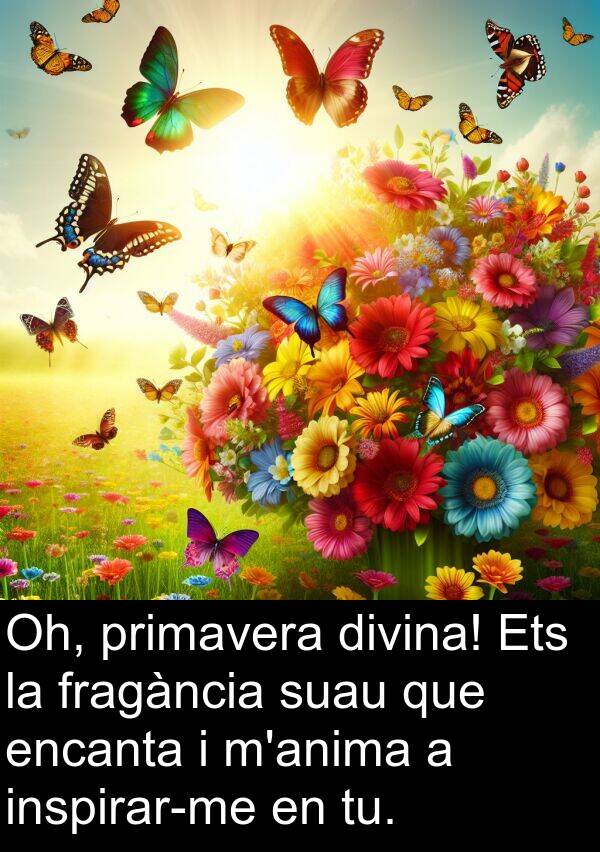 encanta: Oh, primavera divina! Ets la fragància suau que encanta i m'anima a inspirar-me en tu.