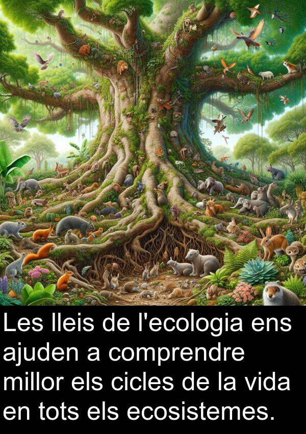 ajuden: Les lleis de l'ecologia ens ajuden a comprendre millor els cicles de la vida en tots els ecosistemes.