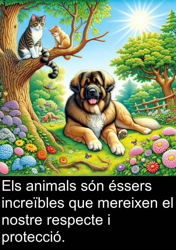 increïbles: Els animals són éssers increïbles que mereixen el nostre respecte i protecció.