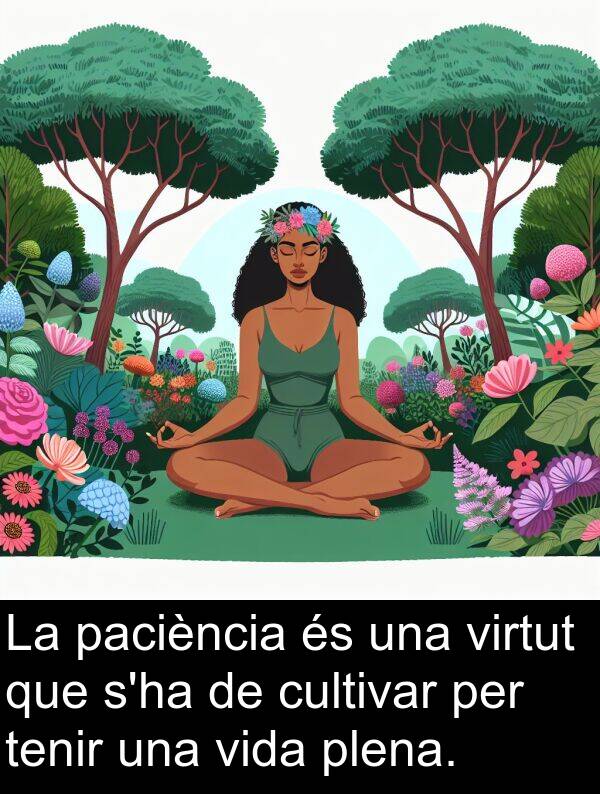 virtut: La paciència és una virtut que s'ha de cultivar per tenir una vida plena.