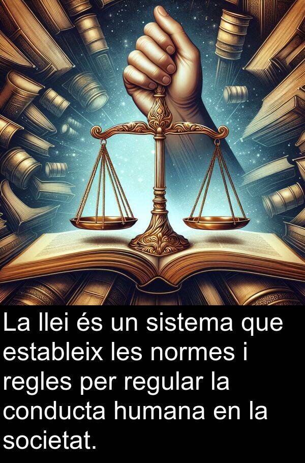 llei: La llei és un sistema que estableix les normes i regles per regular la conducta humana en la societat.