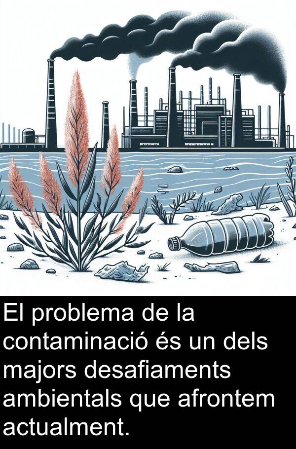 desafiaments: El problema de la contaminació és un dels majors desafiaments ambientals que afrontem actualment.