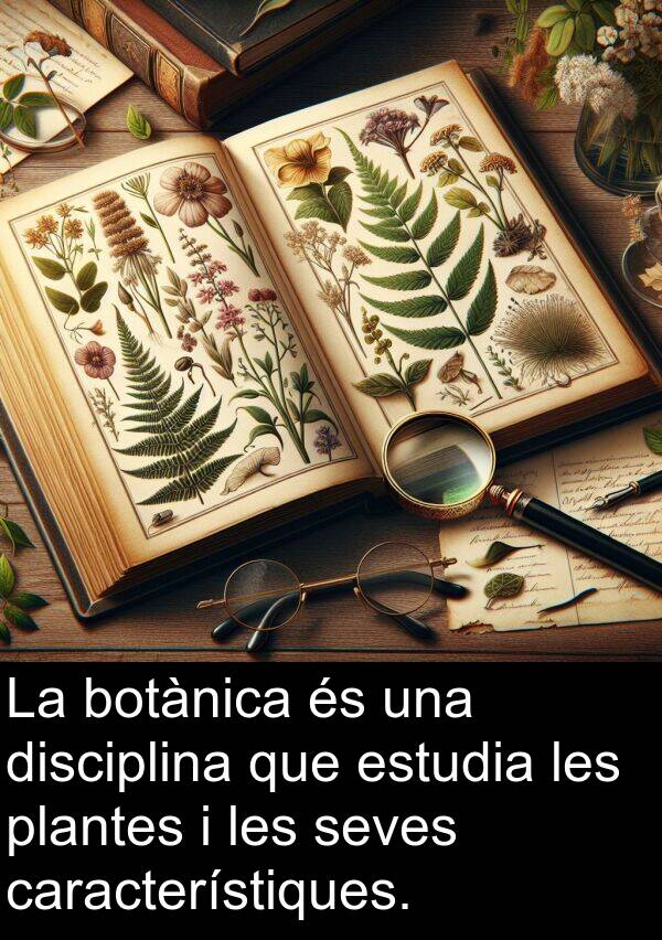 característiques: La botànica és una disciplina que estudia les plantes i les seves característiques.