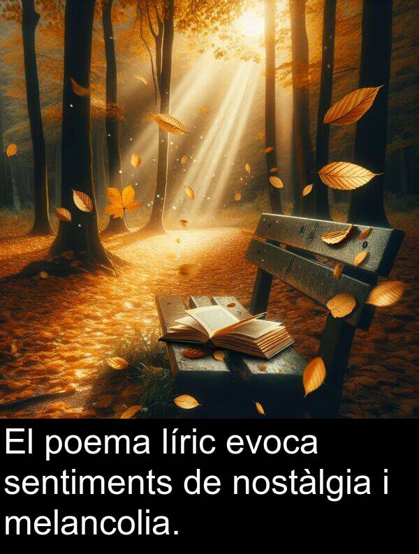 líric: El poema líric evoca sentiments de nostàlgia i melancolia.