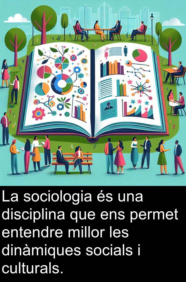 permet: La sociologia és una disciplina que ens permet entendre millor les dinàmiques socials i culturals.