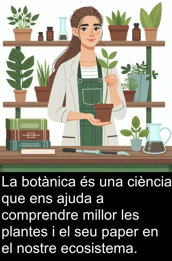 paper: La botànica és una ciència que ens ajuda a comprendre millor les plantes i el seu paper en el nostre ecosistema.