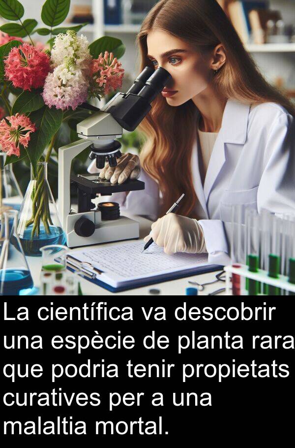 descobrir: La científica va descobrir una espècie de planta rara que podria tenir propietats curatives per a una malaltia mortal.