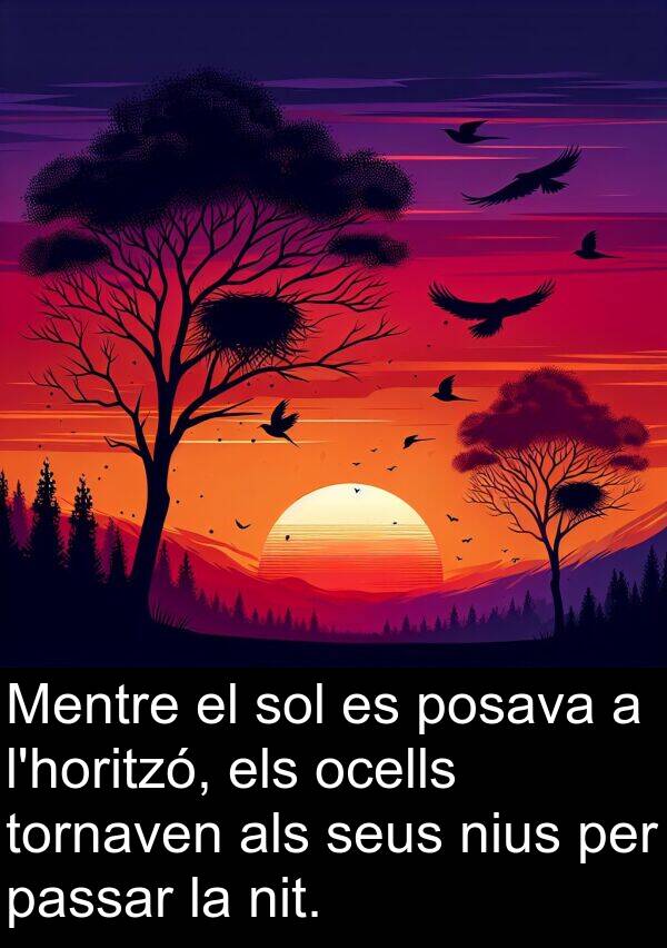 ocells: Mentre el sol es posava a l'horitzó, els ocells tornaven als seus nius per passar la nit.