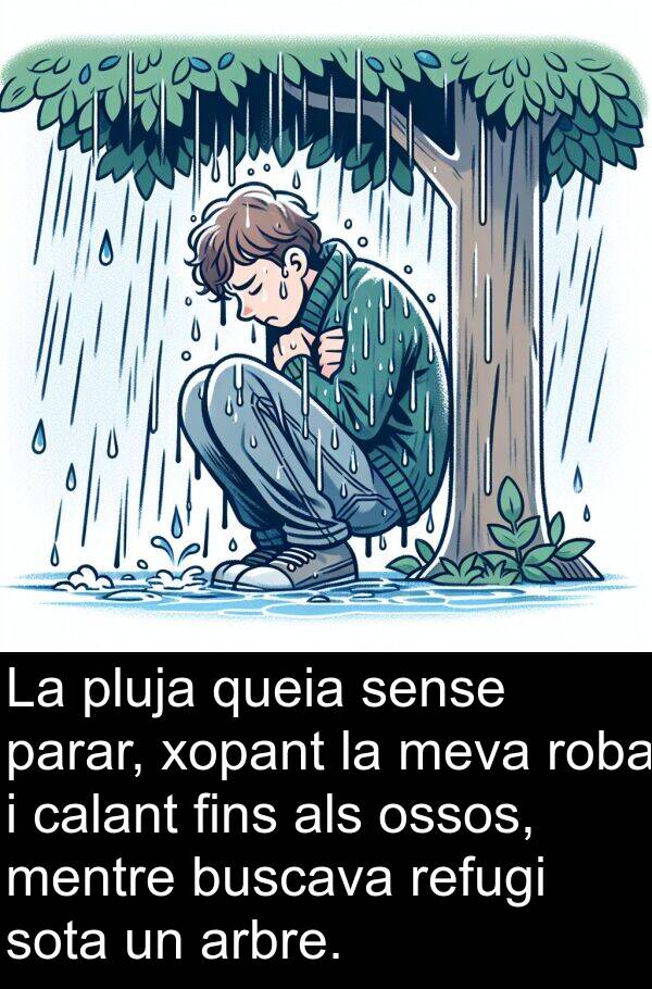 ossos: La pluja queia sense parar, xopant la meva roba i calant fins als ossos, mentre buscava refugi sota un arbre.